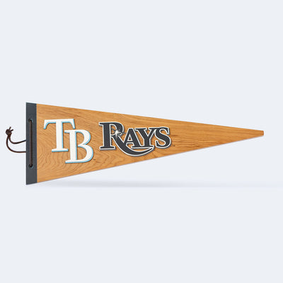 Tampa Bay Devil Rays - Vintage Devil Rays Logo (MLB) – Pillbox Bat Co.