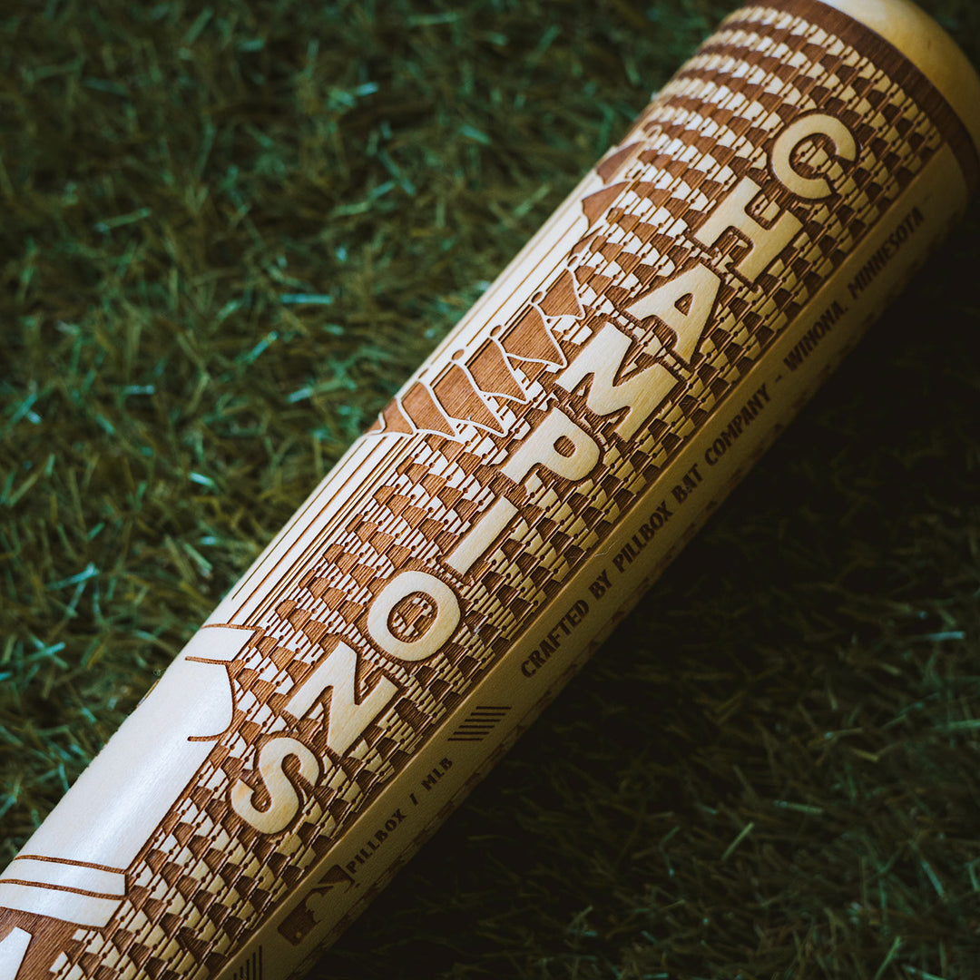 Houston Astros - World Series Champions - Special Edition Bat (MLB